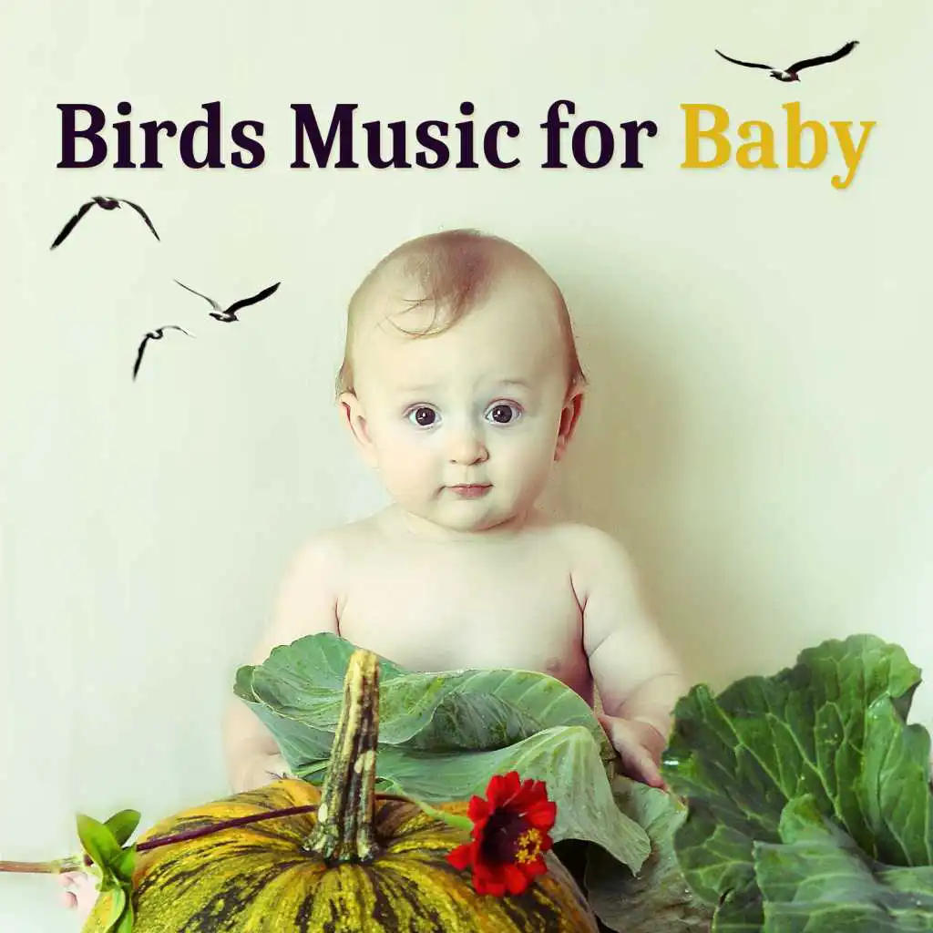 Birds Music for Baby – Soft Sounds of Birds for Baby Calmness, Relaxing Music for Baby, Sleep My Baby, Sleep Aid, Relaxing Night