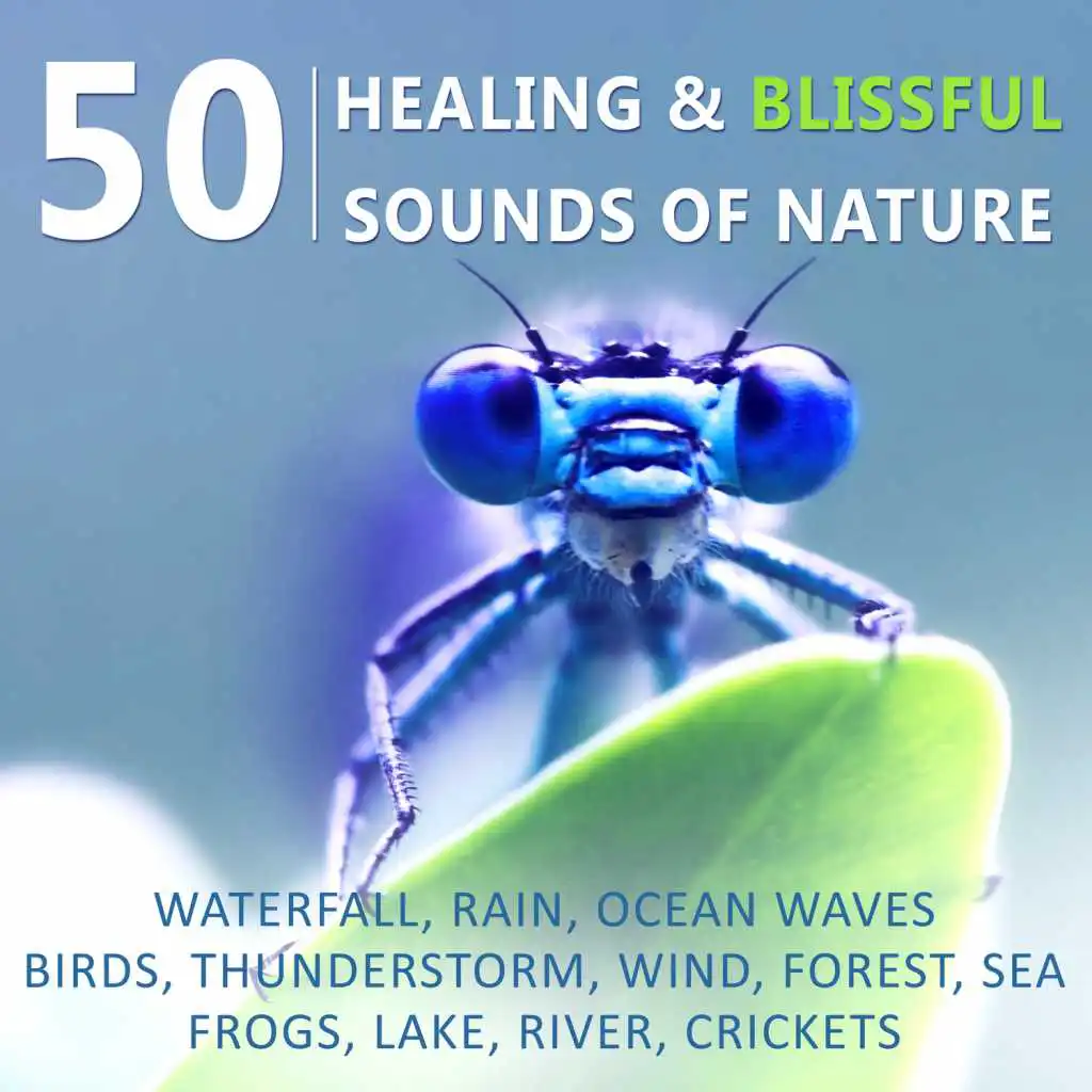 50 Healing & Blissful Sounds of Nature: Waterfall, Rain, Ocean Waves, Birds, Thunderstorm, Wind, Forest, Sea, Frogs, Lake, River, Crickets