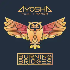 Burning Bridges (feat. Tihamer) [Extended Radio Mix]
