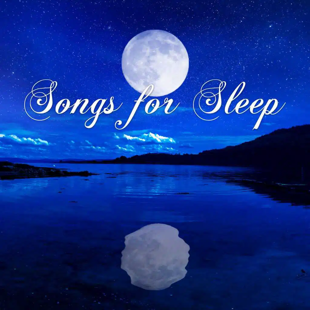 String Quartet No. 22 in B-Flat Major, K. 589: IV. Allegro assai