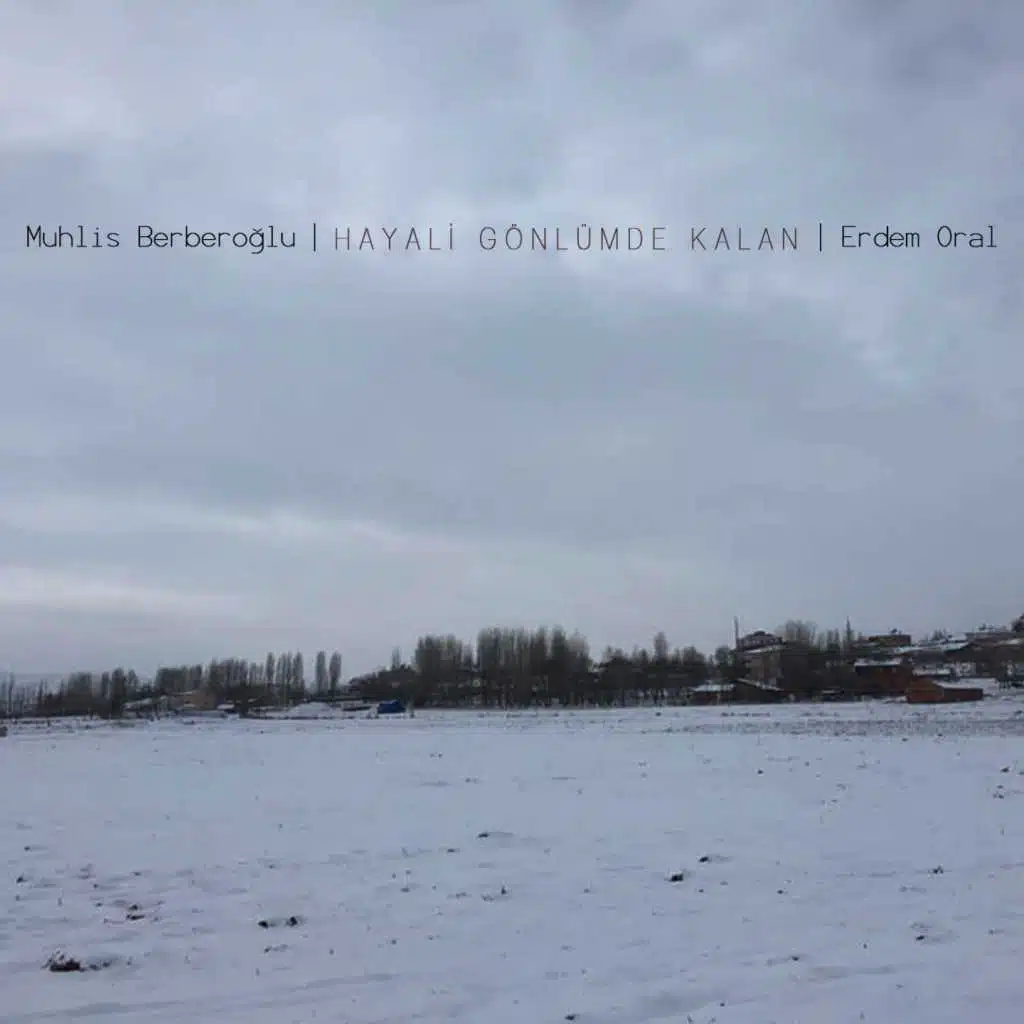 Muhlis Berberoğlu, Erdem Oral