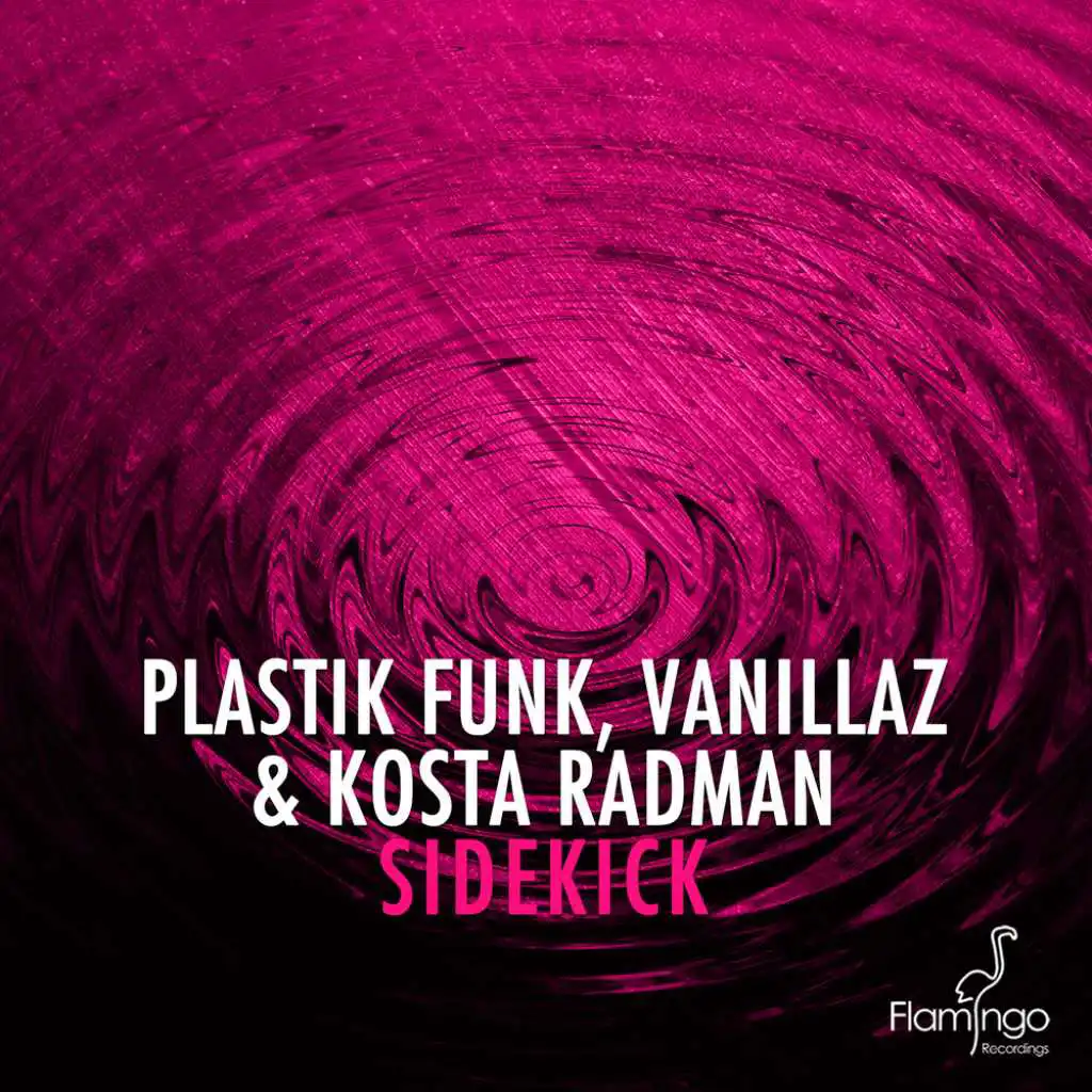 Plastik Funk, Vanillaz, Kosta Radman