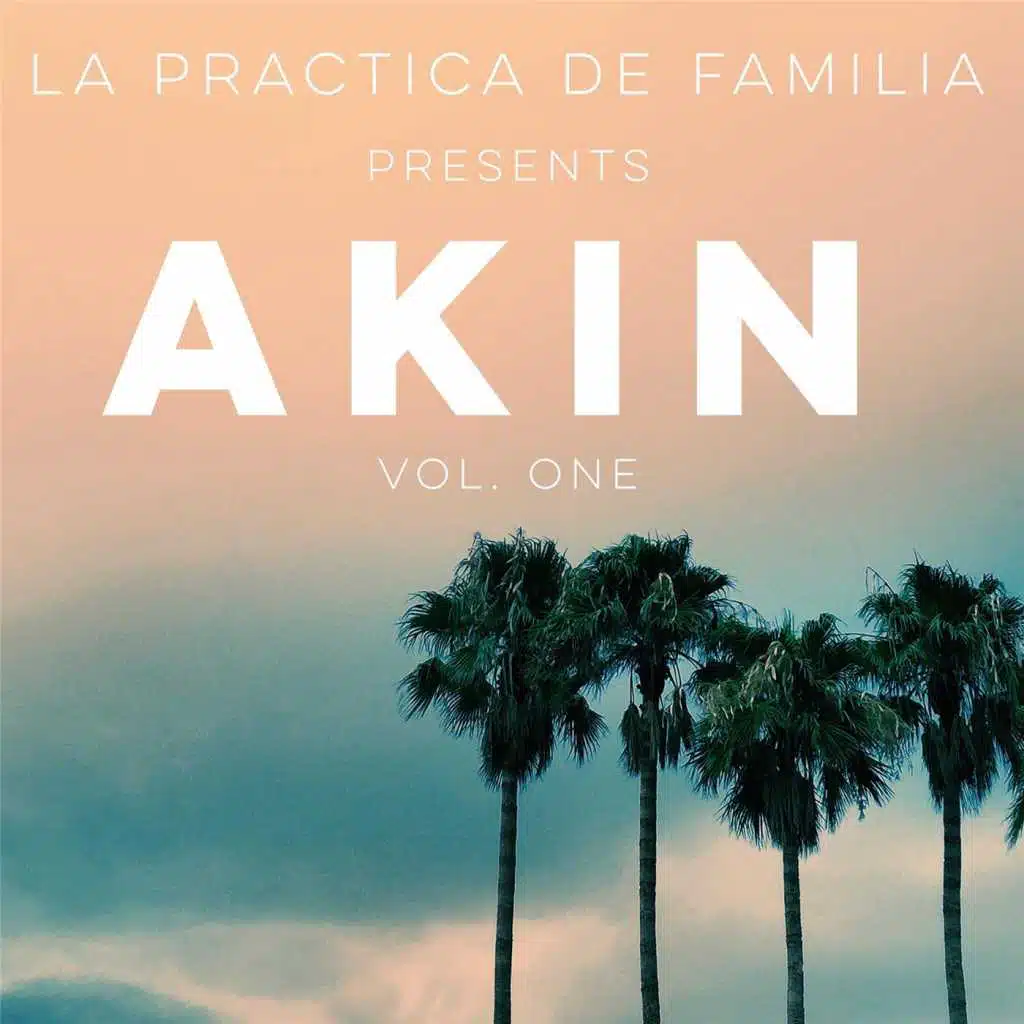 Akin, Vol. One