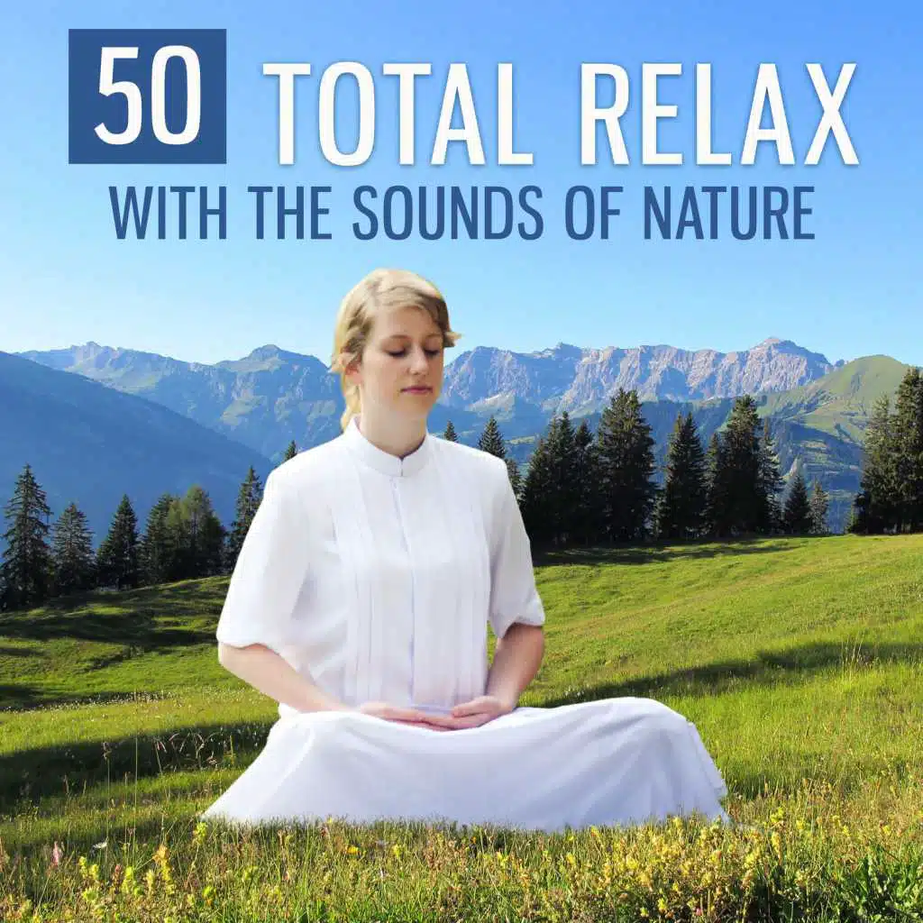 50 Total Relax with the Sounds of Nature: Healing Music for Meditation, Spa and Yoga, Positive Thinking, Tranquil Sounds for Stress Relief, Deep Sleep and Dreaming, Relaxing Massage Therapy