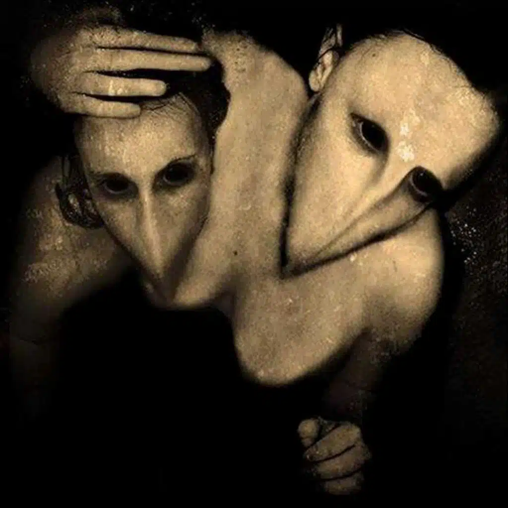 Through the Eyes of the Fallen