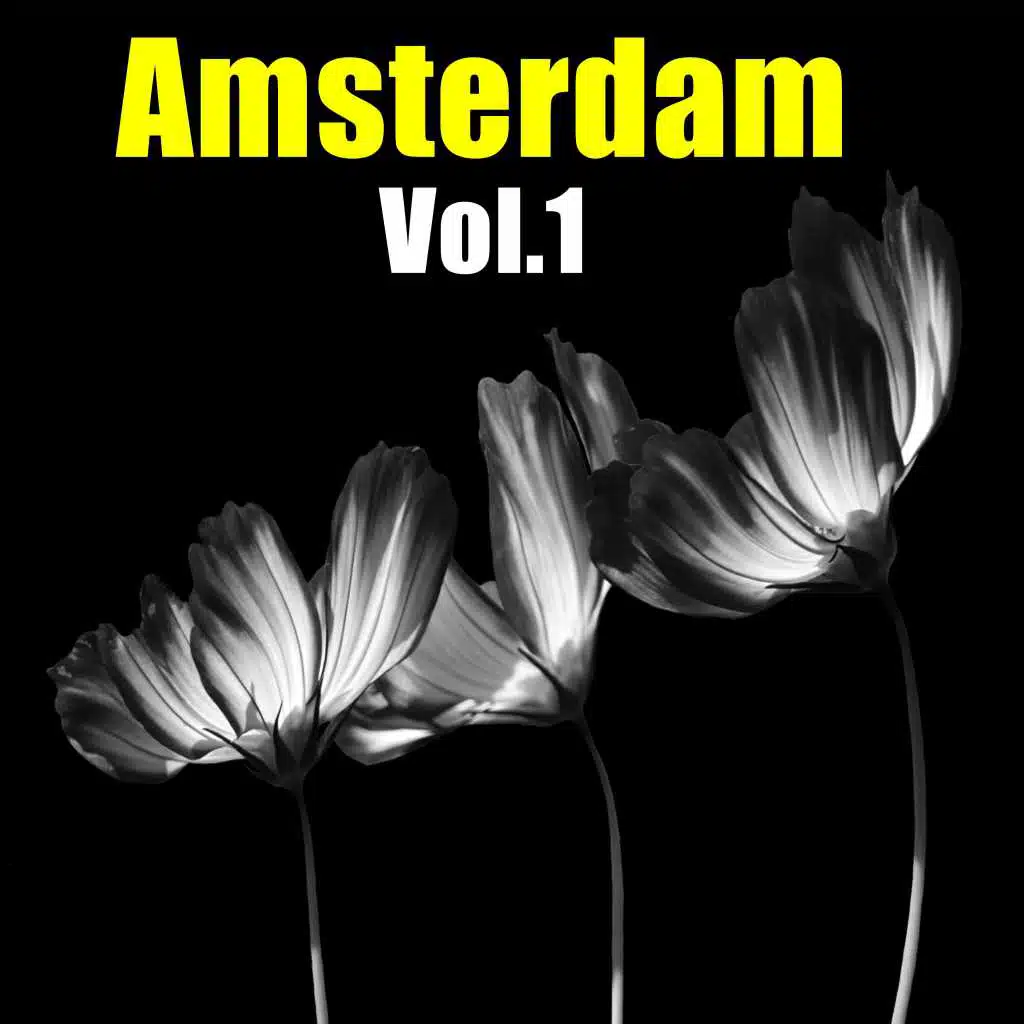 Amsterdam, Vol. 1