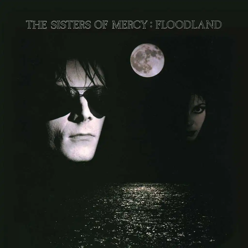 Flood II (Vinyl Version)