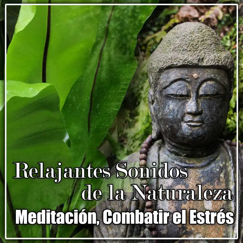 Relajantes Sonidos de la Naturaleza: Relajante Colección para Meditación, Combatir el Estrés, Cura para el Insomnio, Música Calmante, Serenidad