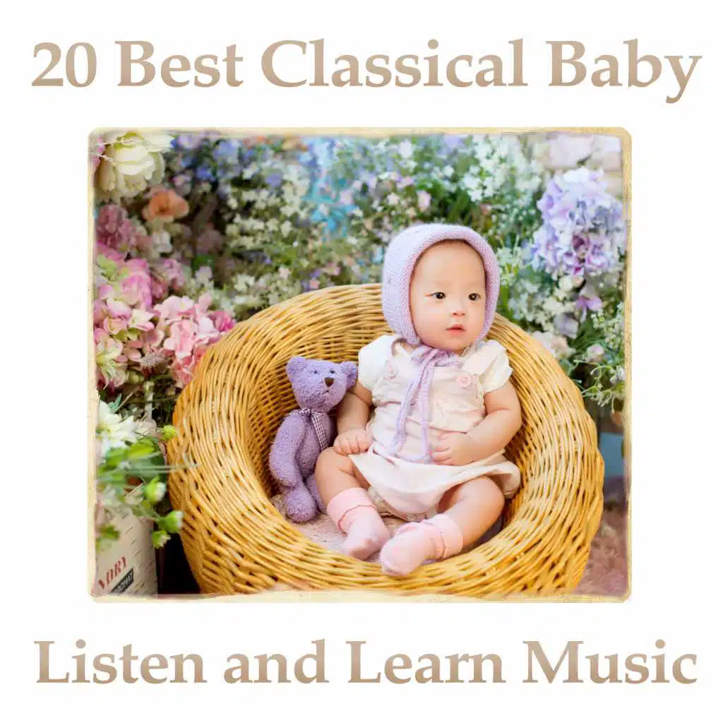 Divertissement sur des motifs originaux français No. 1 in E Minor, Op. 63, D. 823