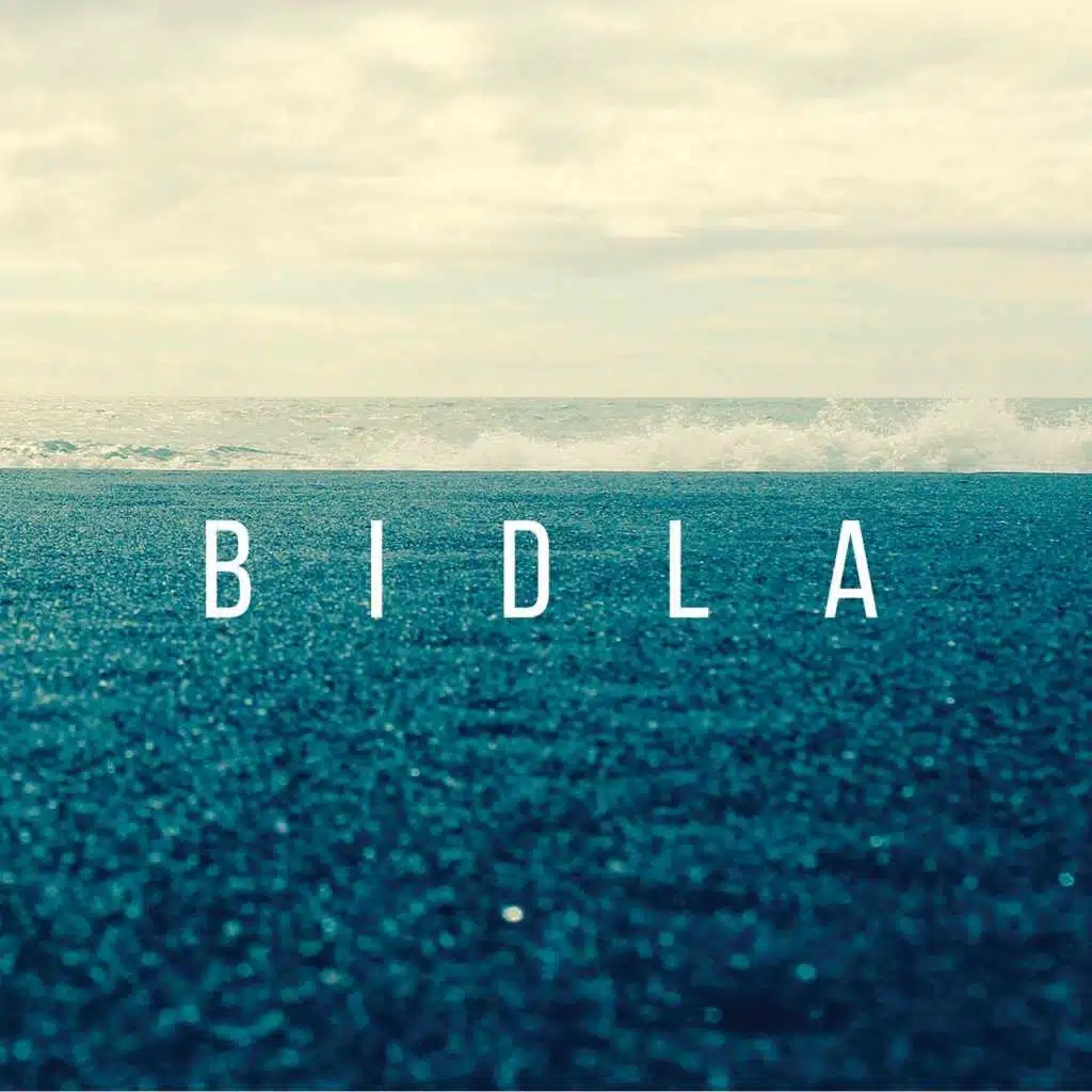 Bidla