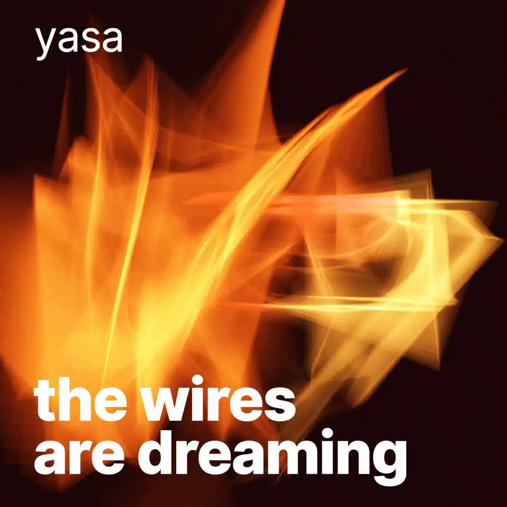 The Wires Are Dreaming