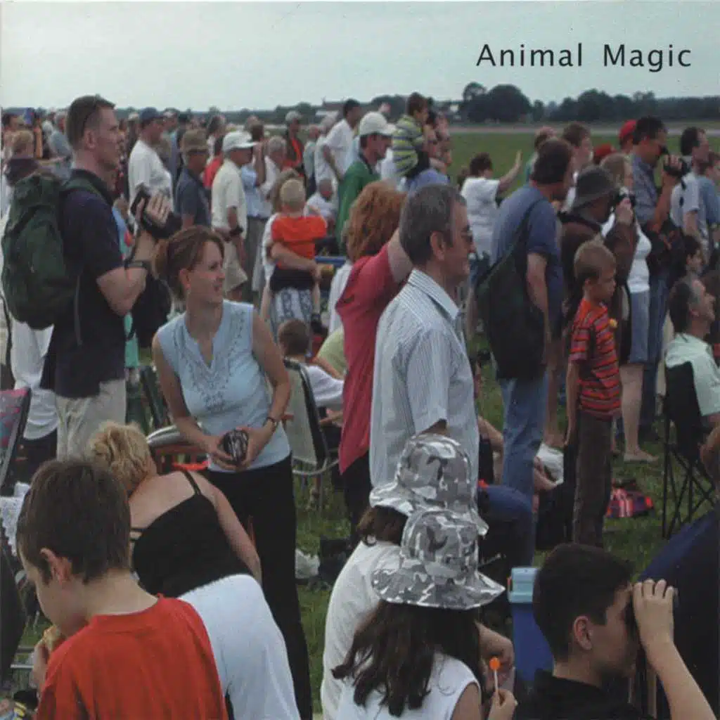 Animal Magic