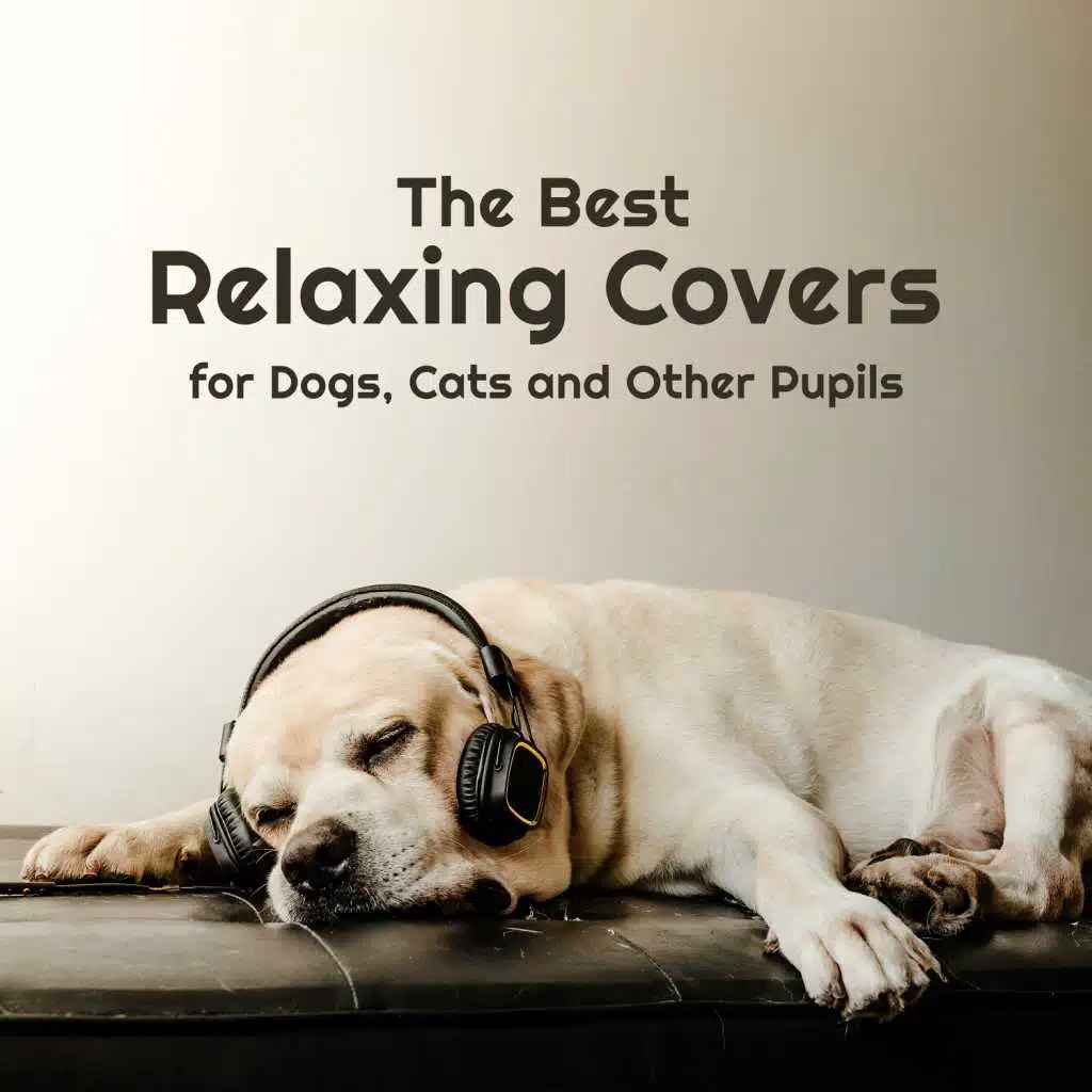 You Are Not Alone (Acoustic Cover)