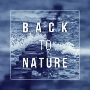 Back to Nature - Endless Ocean, Spirit of Rain, Crystal Water, Wilderness Tranquility