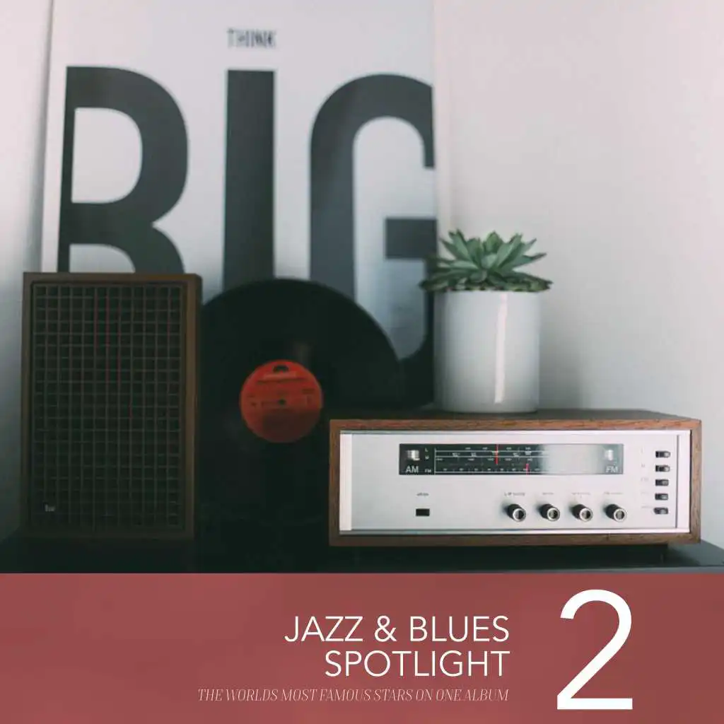 Jazz & Blues Spotlight, Vol. 2