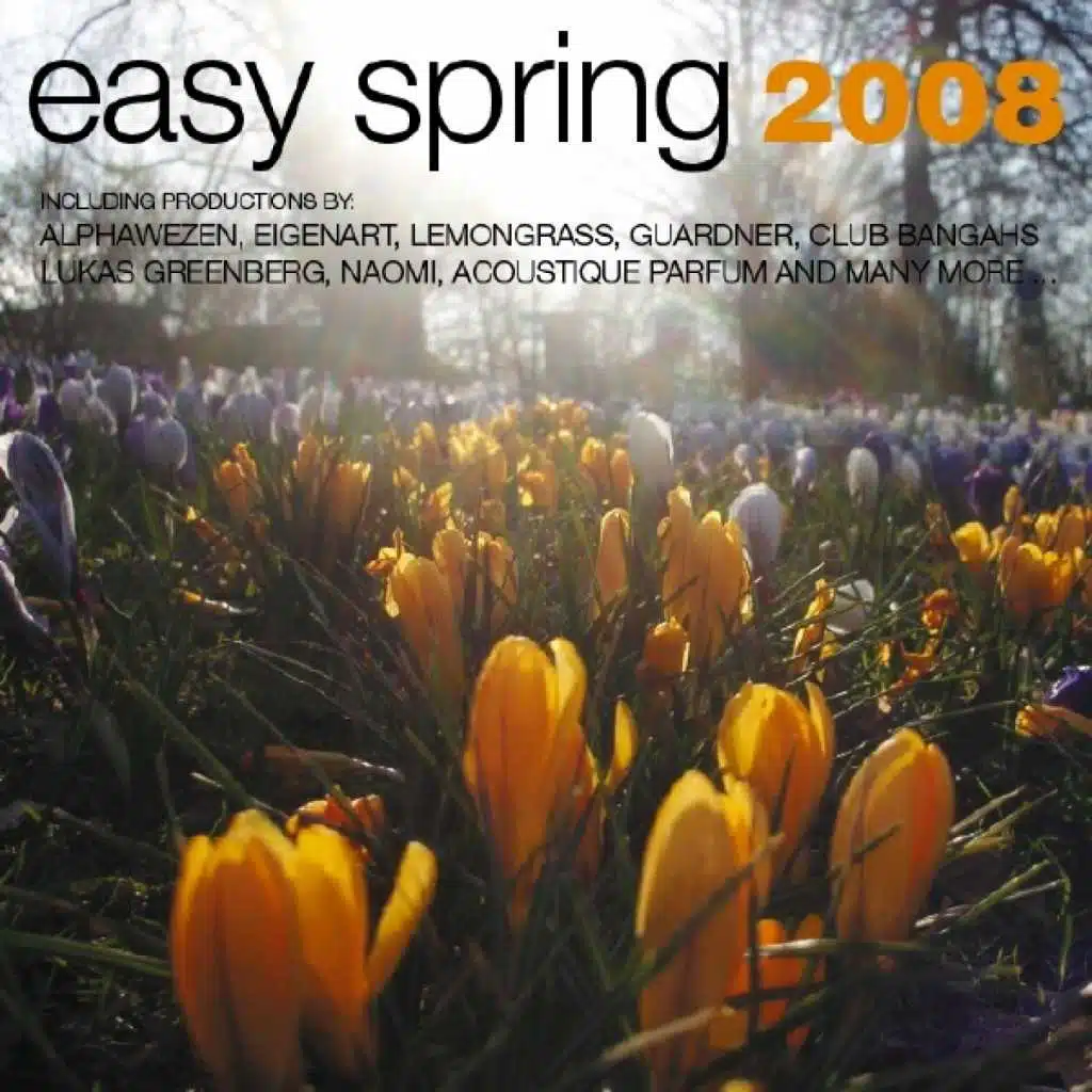 Easy Spring 2008