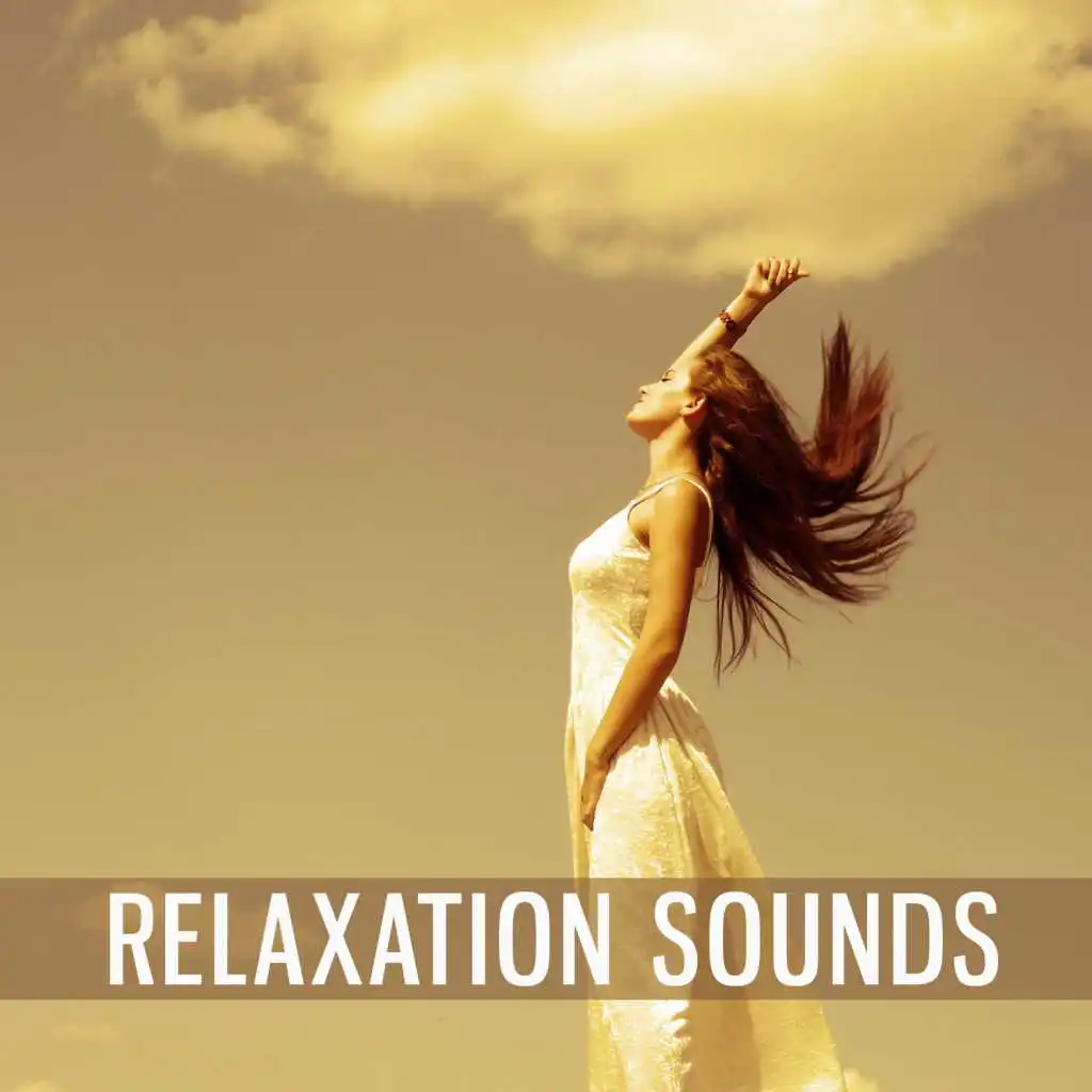 Relaxation Sounds – Classical Music for Rest, Instrumental Music for Relaxation, Famous Composers After Work