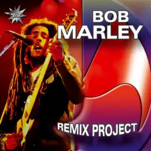 Bob Marley Remix Project
