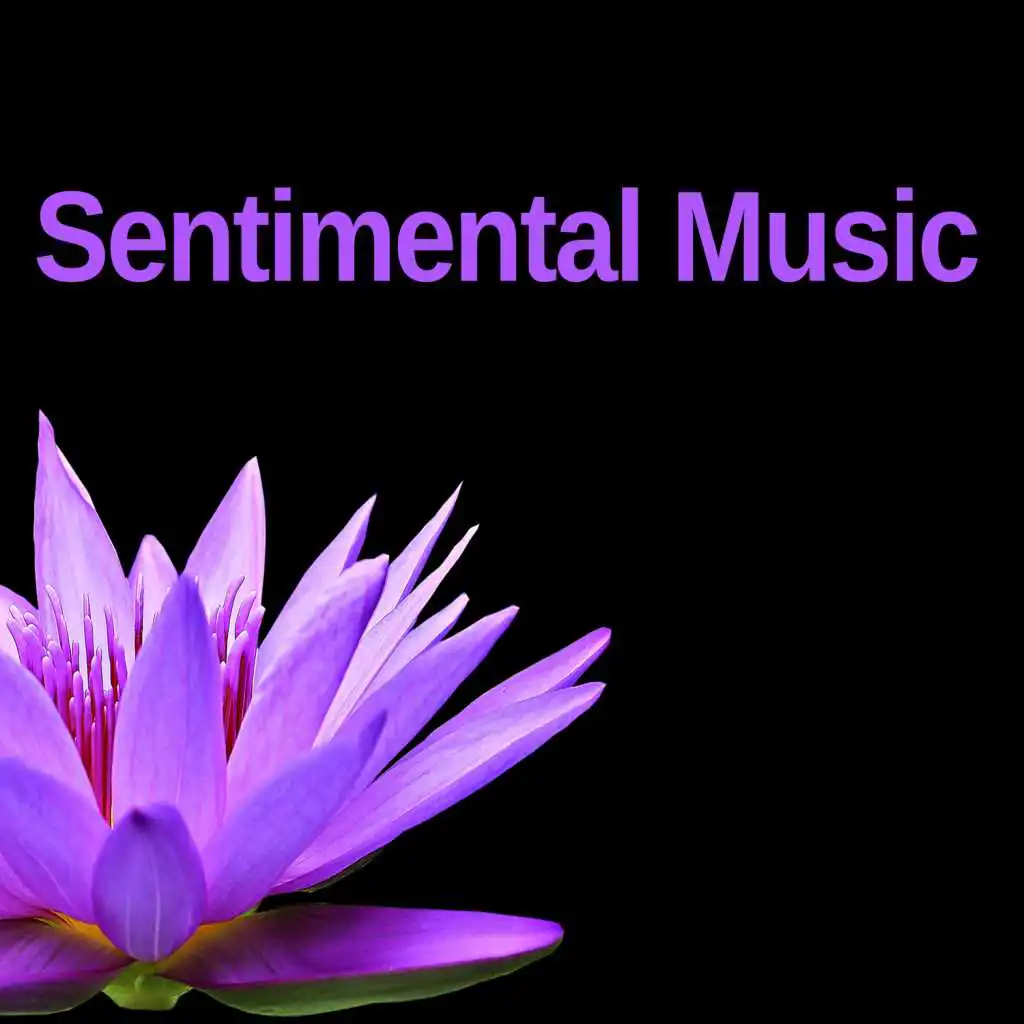 Sentimental Music – Classical Music for Listening, Romantic Moments, Instrumental Sounds, Melancholy Music