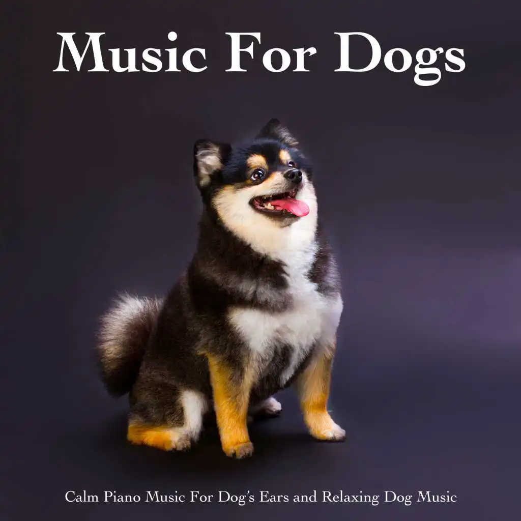 Music For Dogs: Calm Piano Music For Dog’s Ears and Relaxing Dog Music