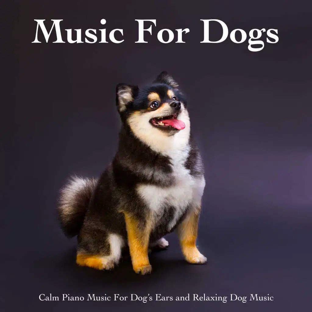Calm Music For Pets