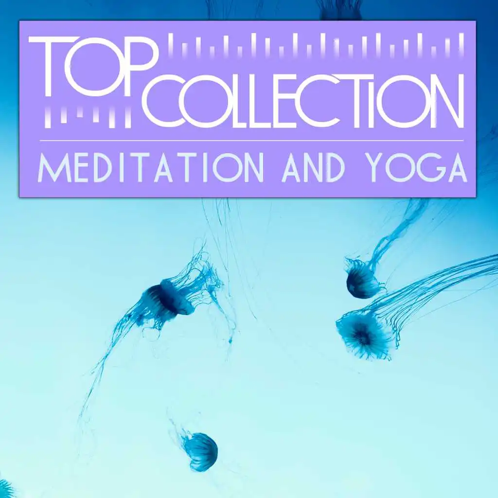 Top Collection: Meditation and Yoga