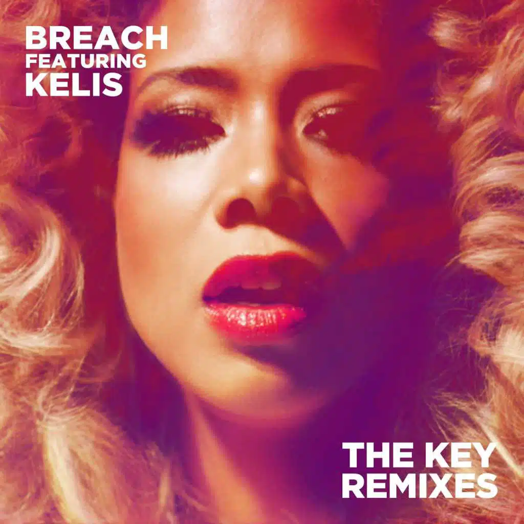 The Key (feat. Kelis) (Remixes)