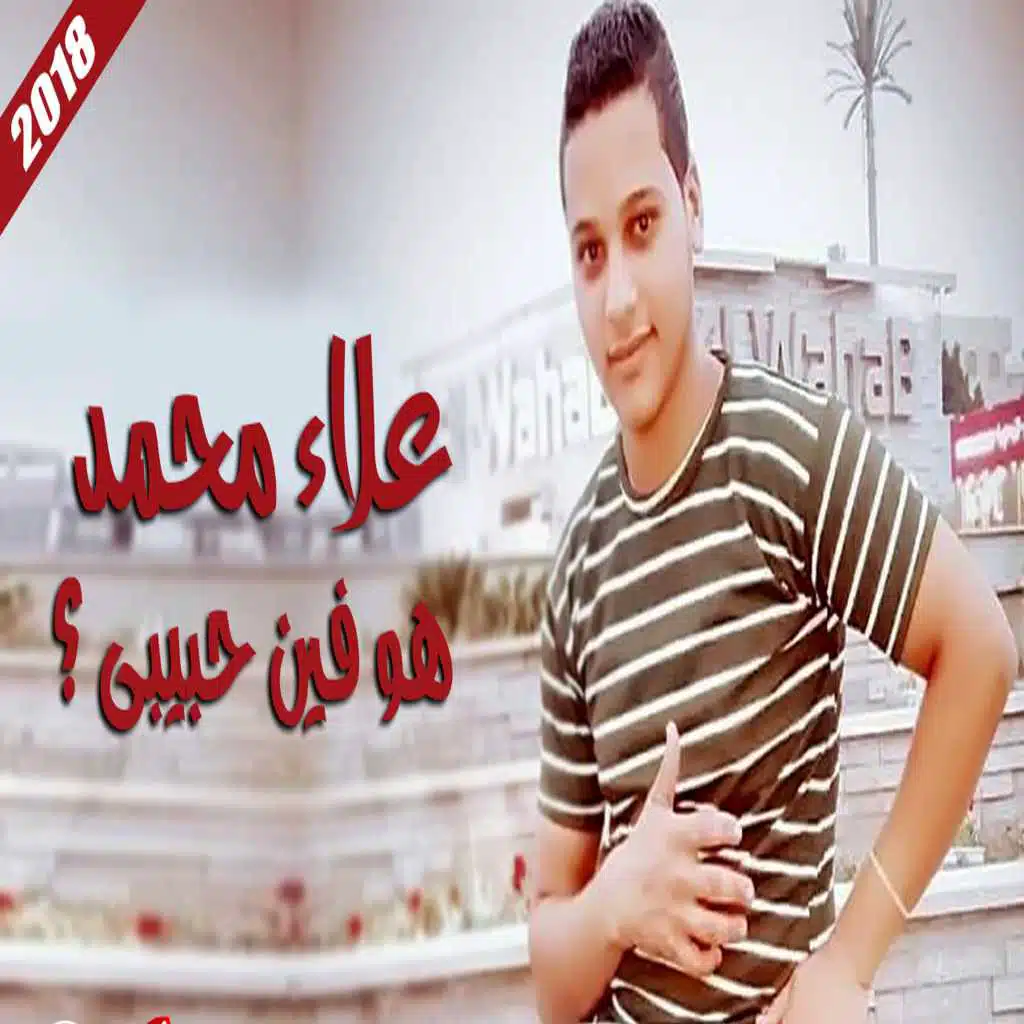 علاء محمد