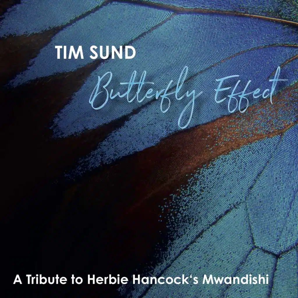 Butterfly Effect (A Tribute to Herbie Hancock's Mwandishi) [feat. Tom Christensen, Christog Griese, Christian Kappe, Adrian Sherriff, Kai Brueckner, Dirk Strakhof, Rainer Winch & Leon Griese]