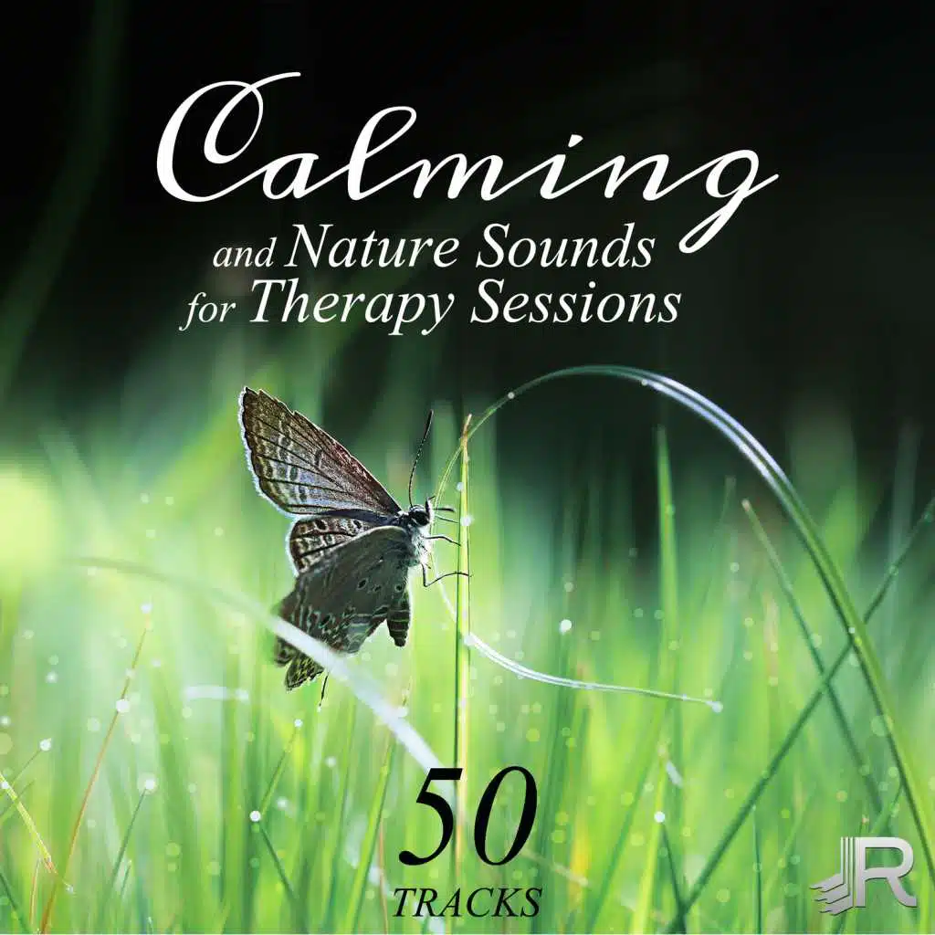 50 Calming Tracks and Nature Sounds for Therapy Sessions: Self Healing Songs for Breakdown and Emotional Crisis to Reduce Stress, Music for Yoga & Meditation