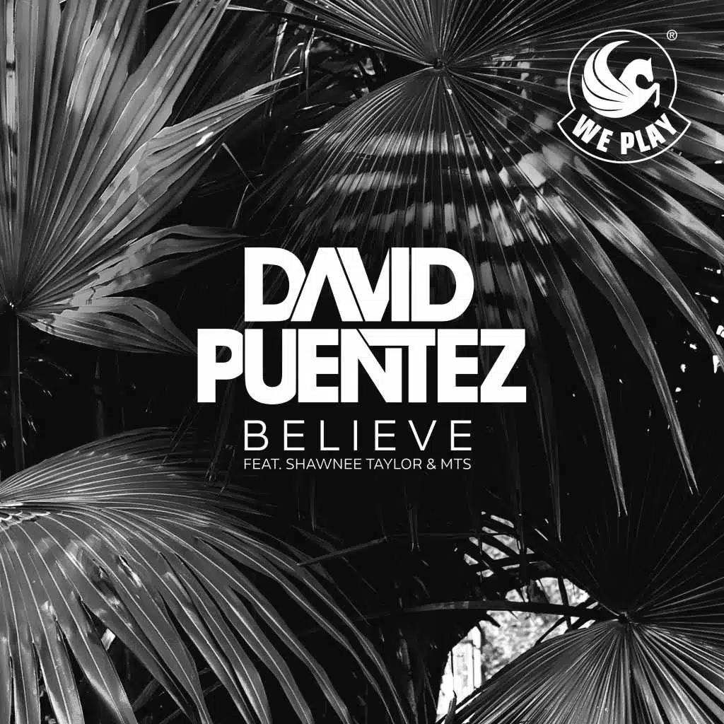 Believe (feat. Shawnee Taylor & MTS) [MTS Edit]