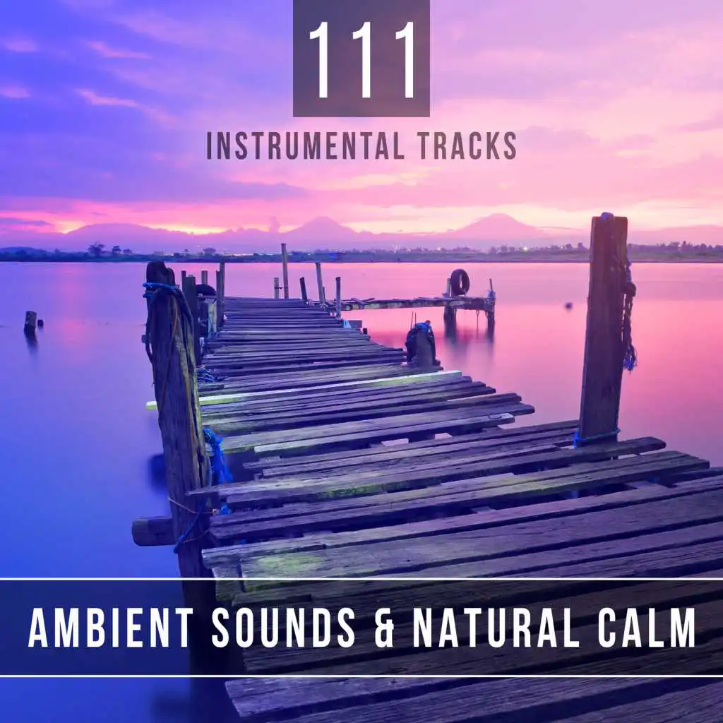 111 Instrumental Tracks: Ambient Sounds & Natural Calm - Healing Music for Deep Meditation and Reiki Therapy, Sleep Relaxing Songs for Spa Massage, Yoga