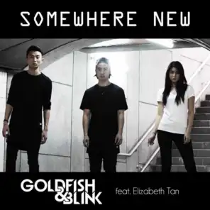 Somewhere New (feat. Elizabeth Tan)