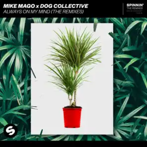 Mike Mago x Dog Collective