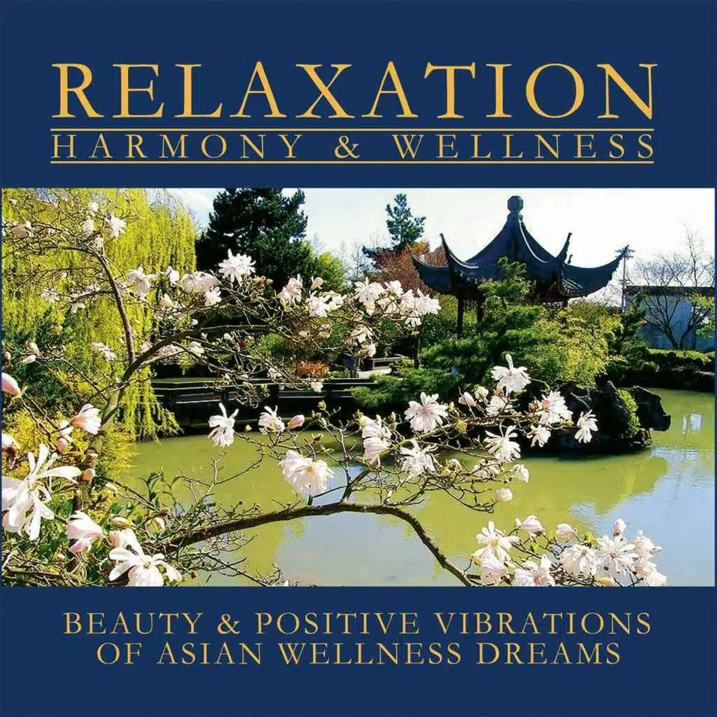 Asian Wellness Dreams