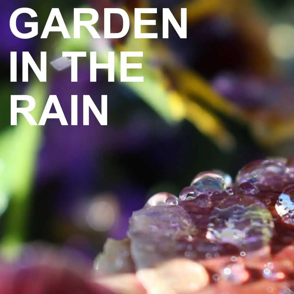 Garden in the Rain