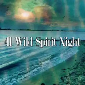 41 Wild Spirit Night