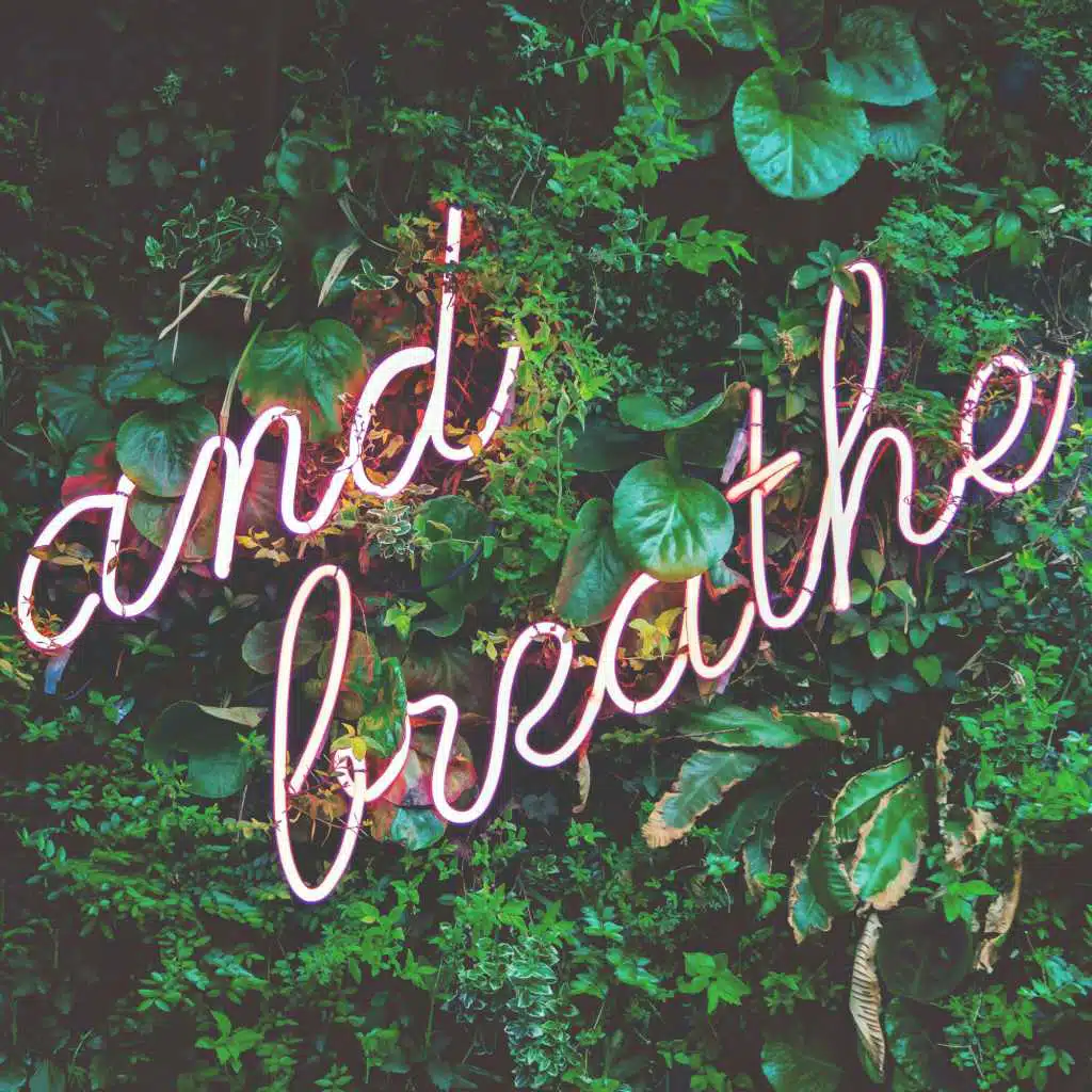 Chill Out and Breath