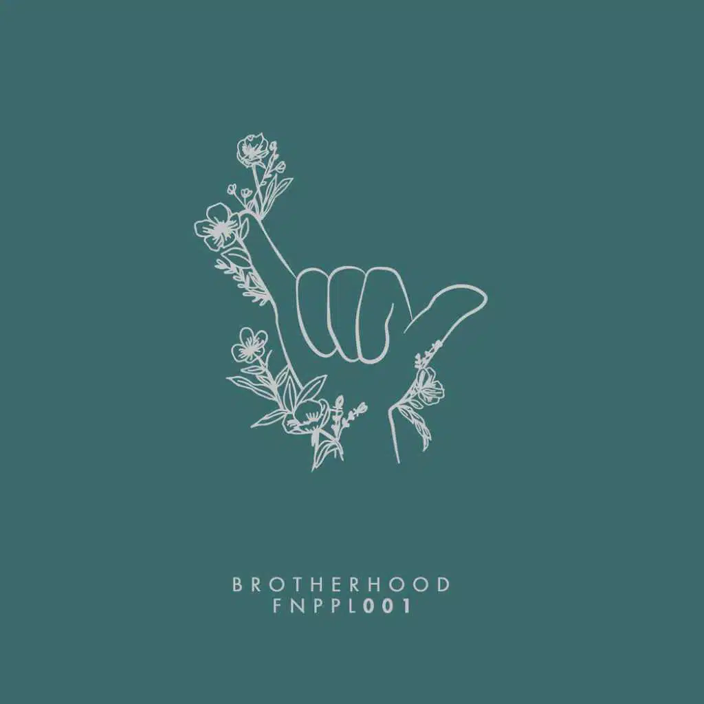Brotherhood Vol. 1