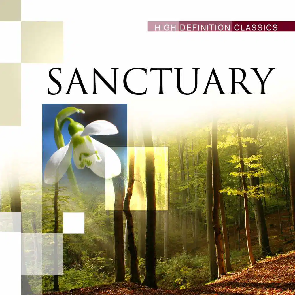 Sanctuary
