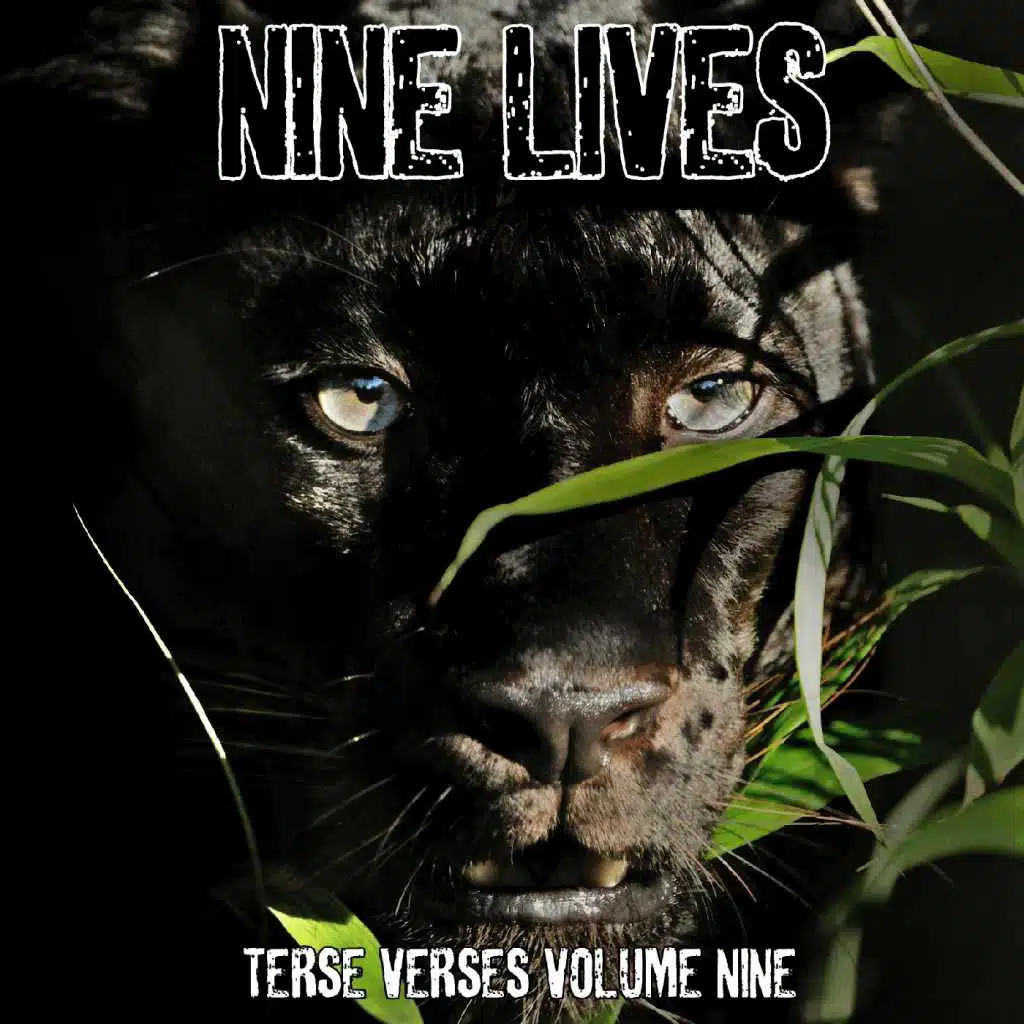 Nine Lives: Terse Verses, Vol. 9