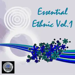 Essential Ethnic, Vol. 1