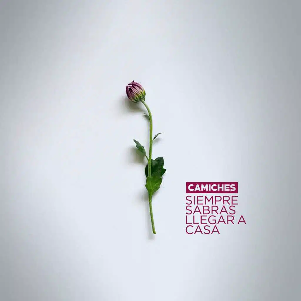 Siempre Sabrás Llegar a Casa