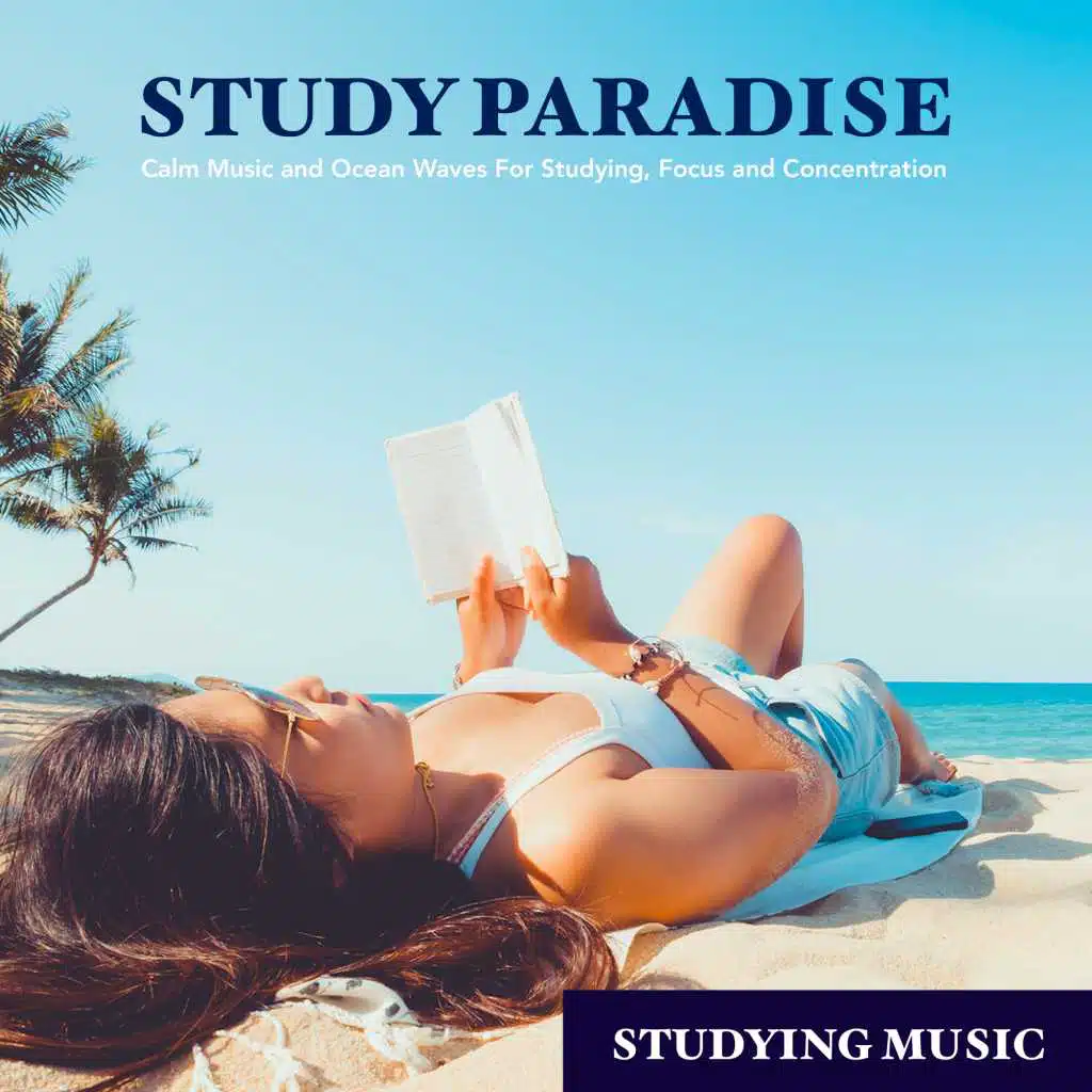 Calm Study Music