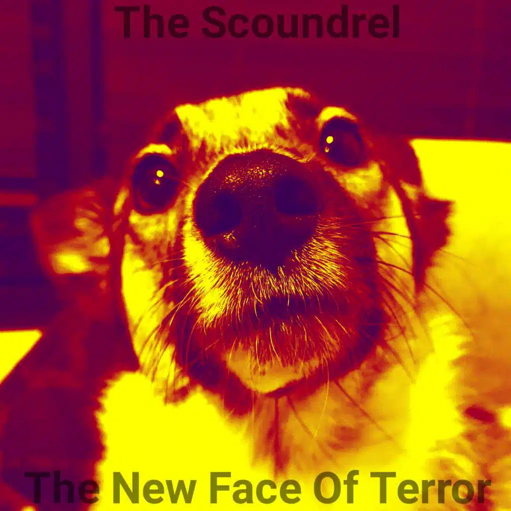 The Scoundrel