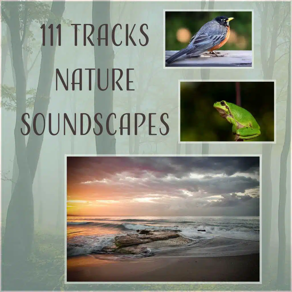 111 Tracks Nature Soundscapes: Healing Therapy Music - Relaxing Rain, Sounds of Birds, Ocean Waves, Calm Sea and Waterfall, Zen Music, Animals Sounds (Forest, Frogs, Cricket)