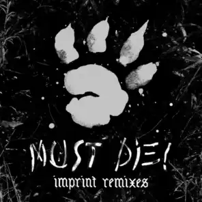 Imprint (Ape Drums Remix)