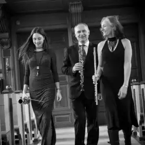 Trio Sonata No. 1, BWV 525: Allegro Moderato (feat. Elisabet G Nilsson, Lina Nilsson & Jean-Christophe Robert)