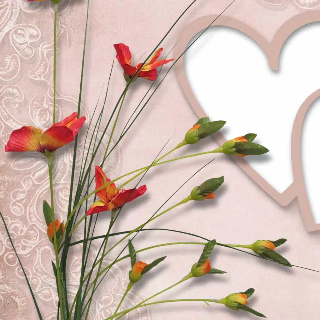 Collection of my Heart