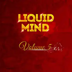 Liquid Mind Vol 5